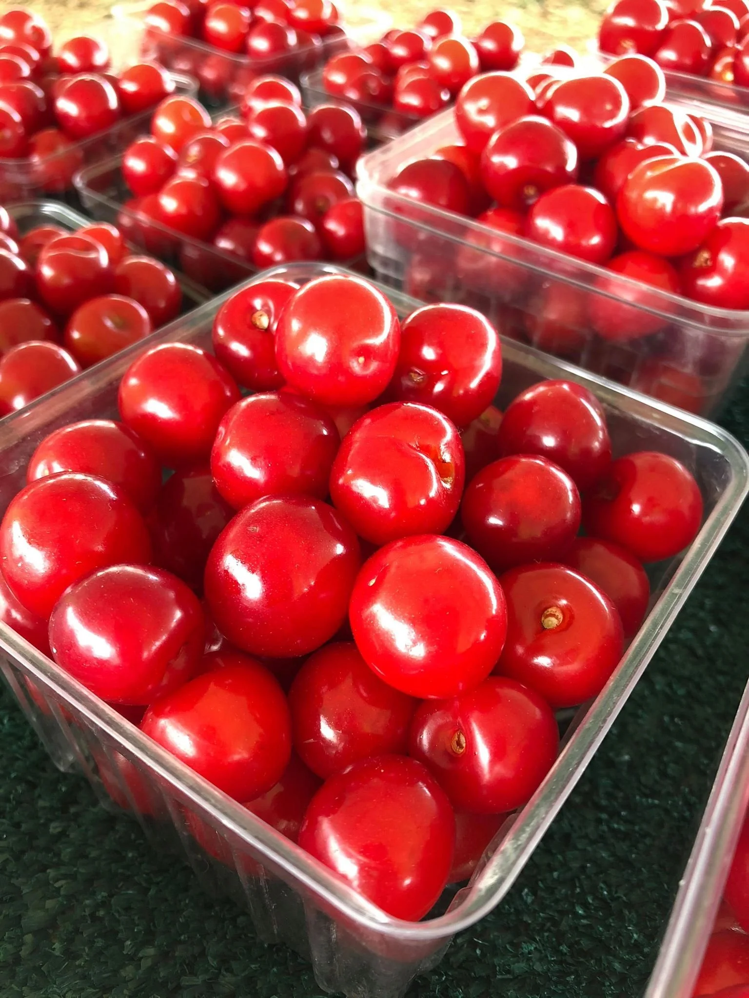 Cherries — K. Schlegel Fruit Farm, LLC
